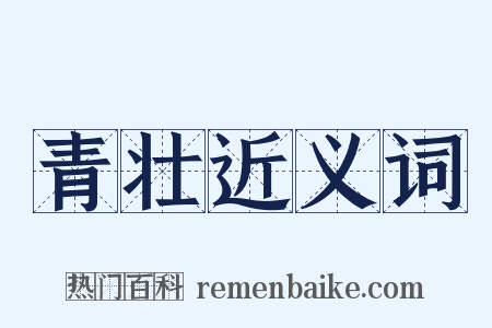 青壮近义词是什么意思的图片